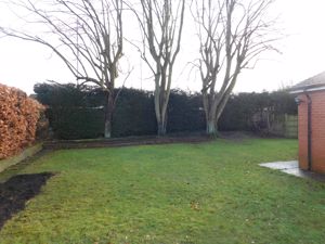 Photo 14- click for photo gallery